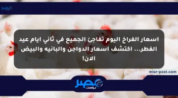 أسعار الفراخ اليوم تفاجئ الجميع في ثاني أيام عيد الفطر… اكتشف أسعار الدواجن والبانية والبيض الآن!